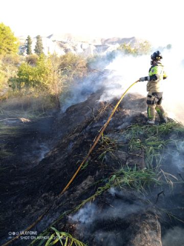 Efectivos del Plan Infomur controlan un incendio agrícola en Albudeite